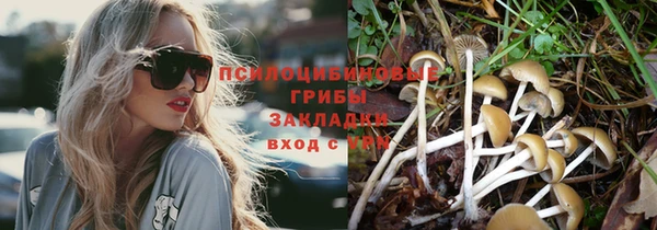 прущая мука Киреевск