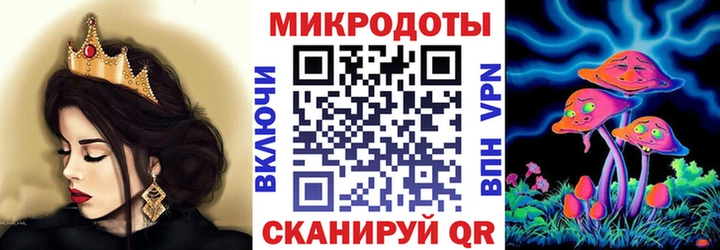 Купить где  Пыталово  Псилоцибиновые грибы Psilocybe 