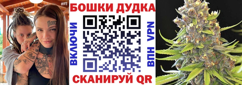 Купить закладки  Пыталово  Шишки марихуана ГИДРОПОН 
